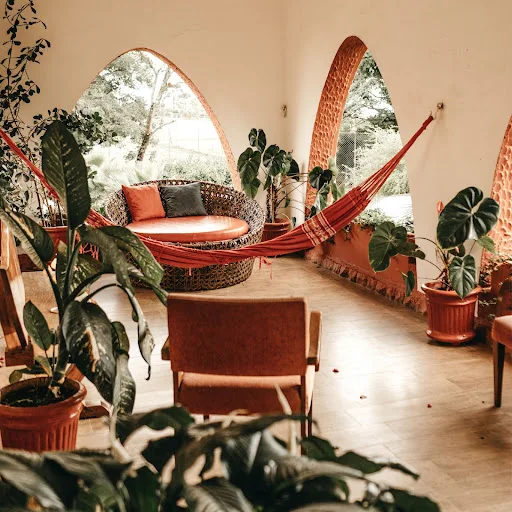 Le Feng Shui Un Art De Vivre Ancestral