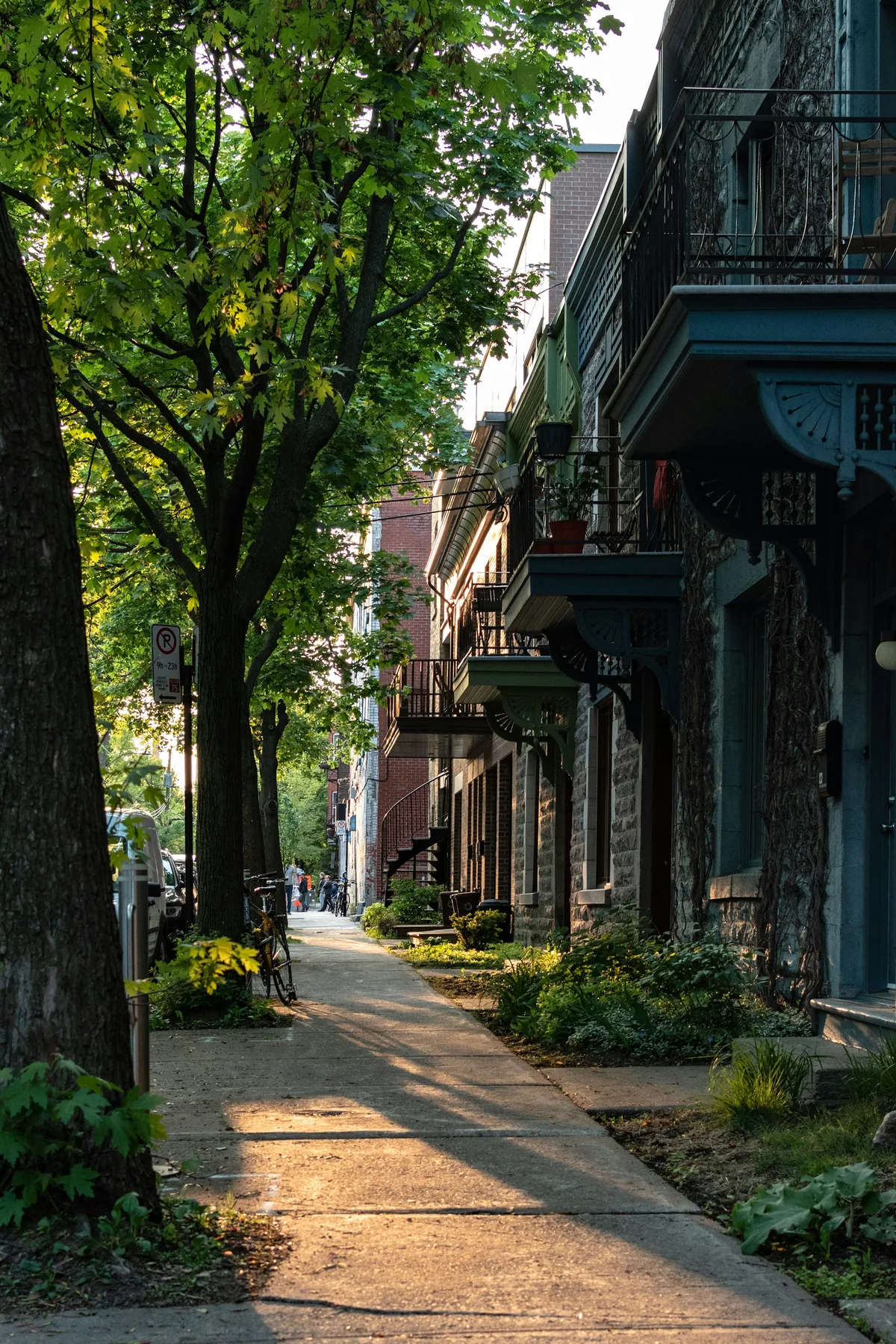 Mastering The Art Of Cheap Moving In Montreal