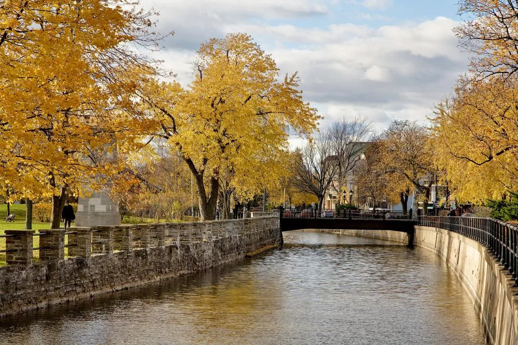 Moving In Montreal Where To Find The Best Deals