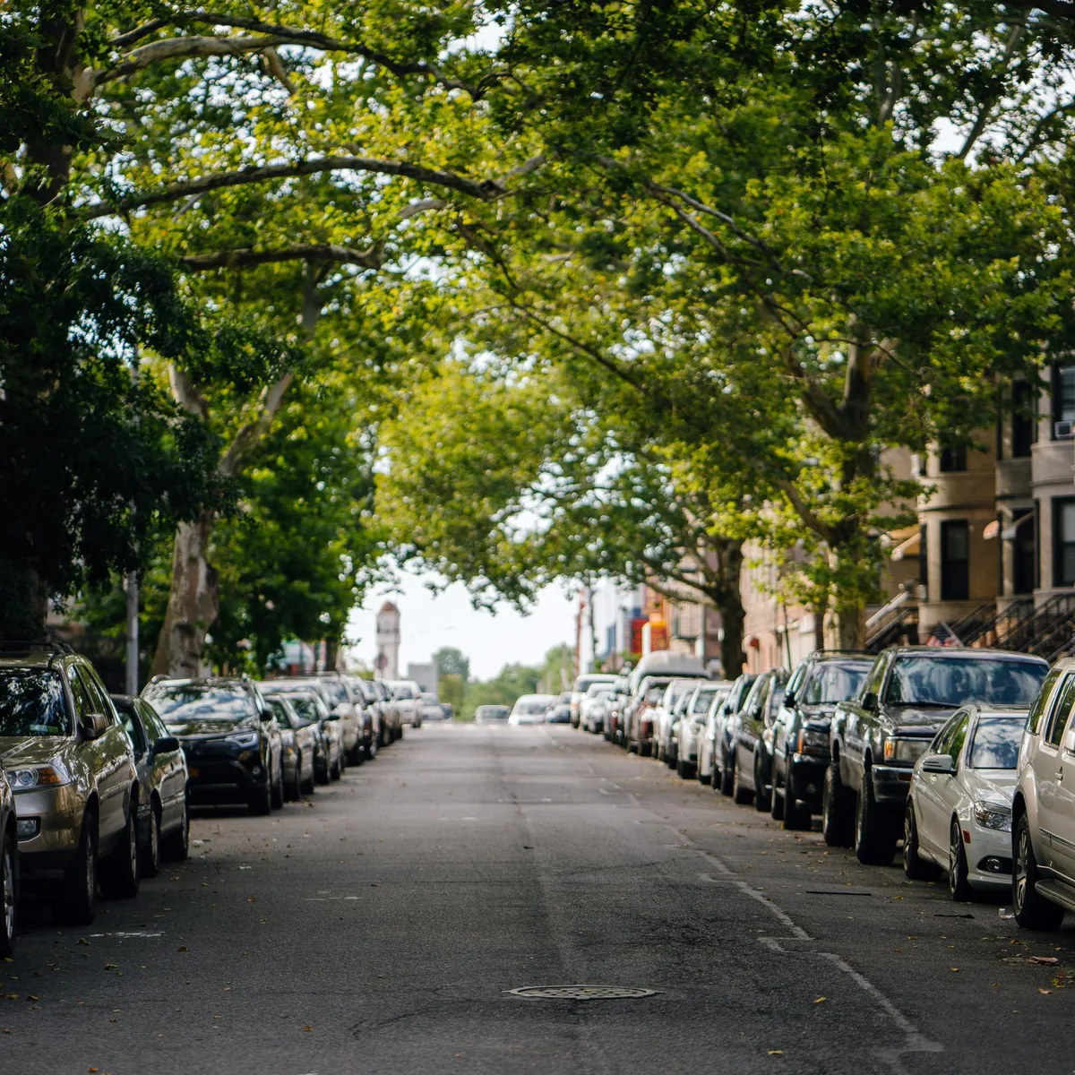 Que Faire Avant Larrivee De Nos Mates