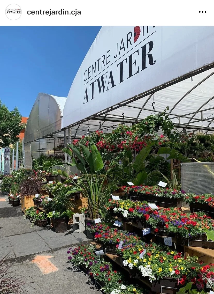Buy plants in Montreal at Centre Jardin Atwater