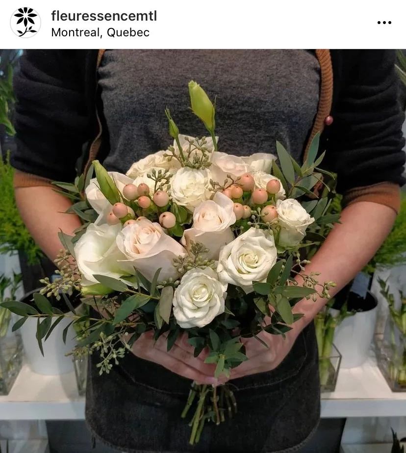 Buy plants in Montreal at Fleuressence